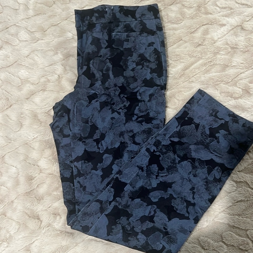 Super Cute Banana Republic Sloan Pants Size 4